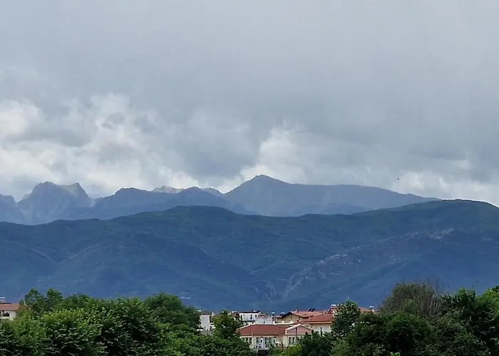 Zorzet